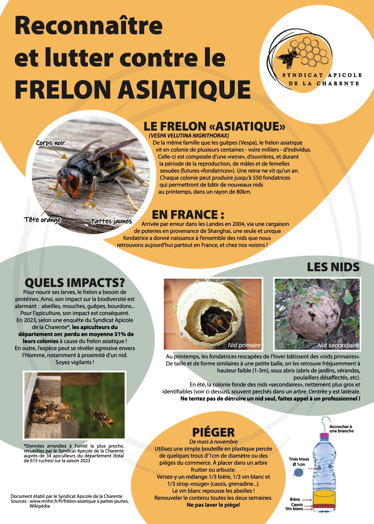 RECONNAITRE ET LUTTER CONTRE LE FRELON ASIATIQUE