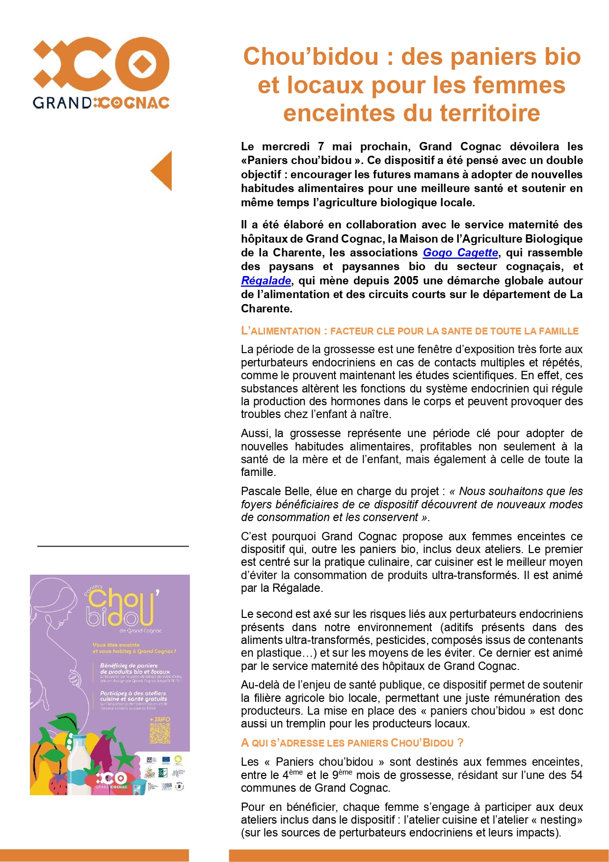 CHOU'BISOU PANIERS BIO ET LOCAUX POUR LES FEMMES ENCEINTES
