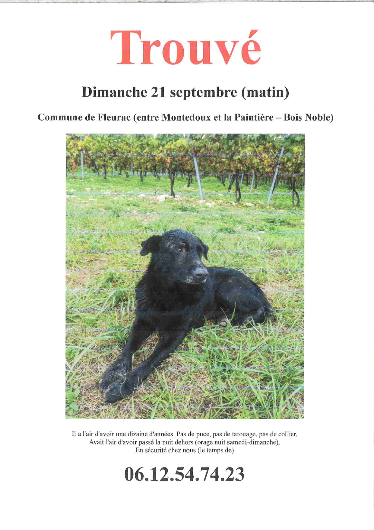 CHIEN TROUVE A FLEURAC