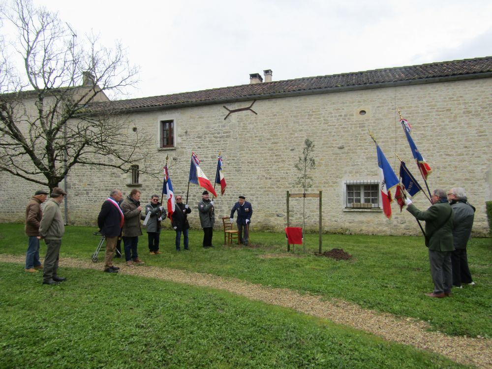 ARBRE DE LA LIBERTE