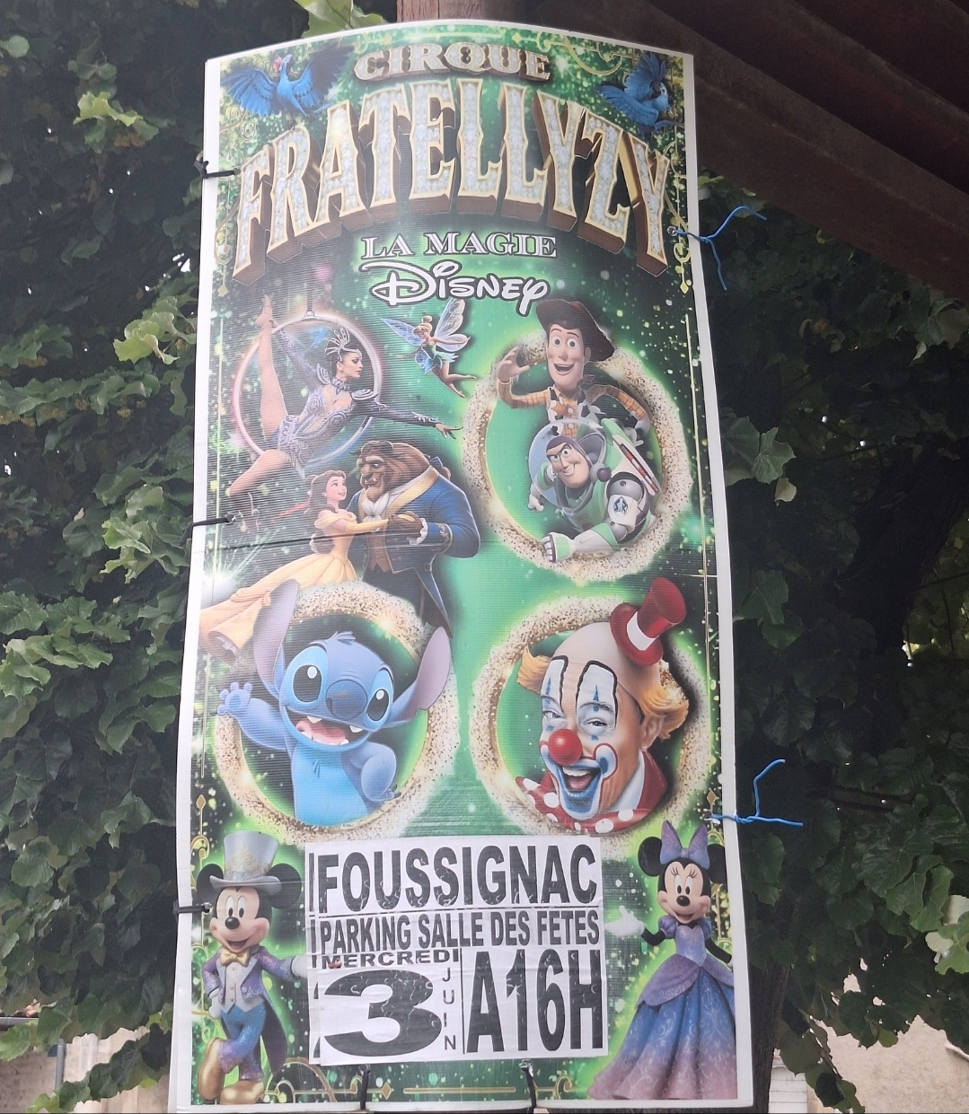 CIRQUE FRATELLYZY